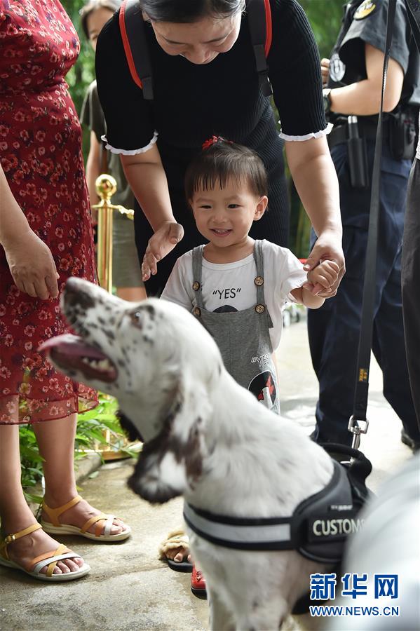 （社会）（6）广州海关举办缉毒犬开放日活动